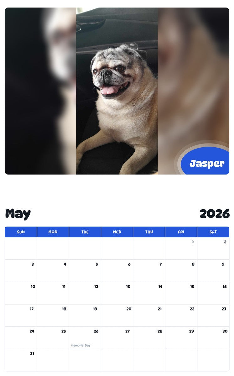 2026 - 2027 Jasper - Pawidols Pet Calendar