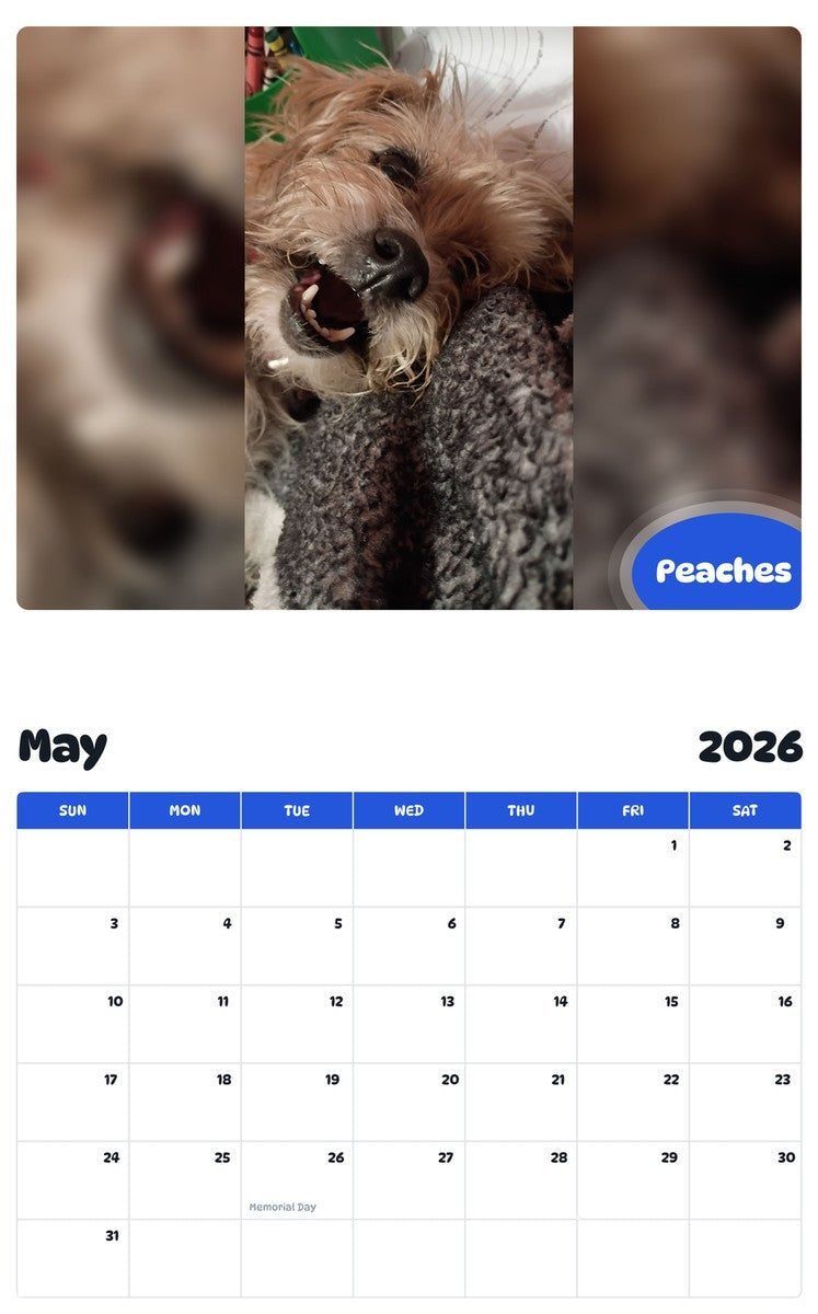2026 - 2027 Peaches - Pawidols Pet Calendar