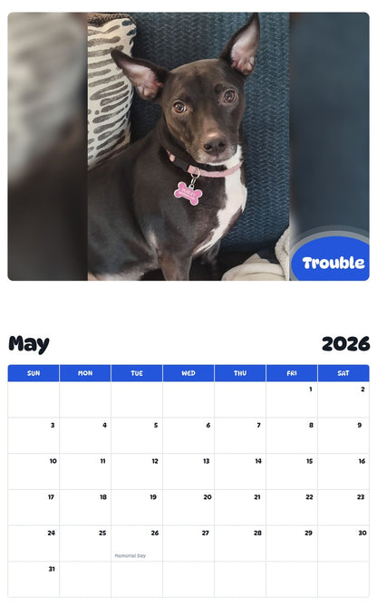 2026 - 2027 Trouble - Pawidols Pet Calendar