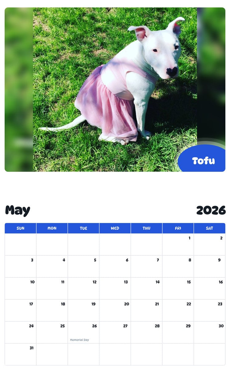 2026 - 2027 Tofu - Pawidols Pet Calendar
