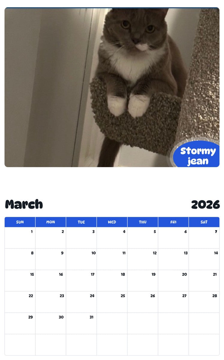 November 2025 - October 2026 Stormy jean - Pawidols Pet Calendar