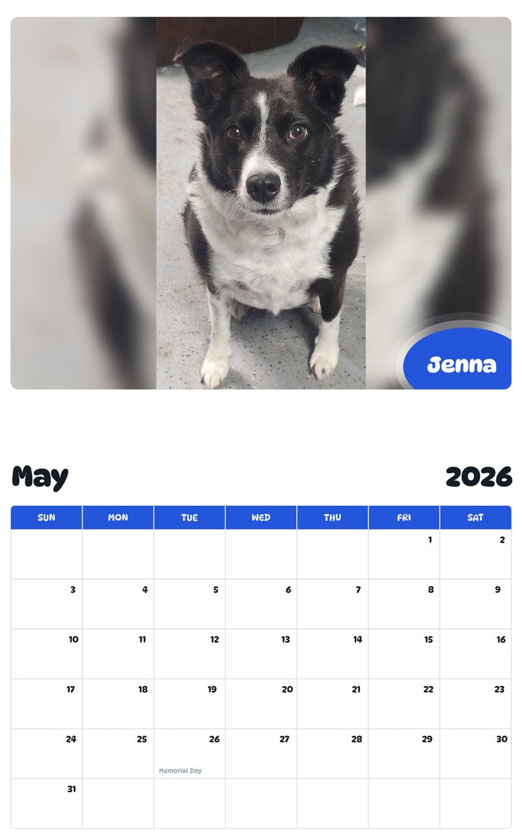 2026 - 2027 Jenna - Pawidols Pet Calendar
