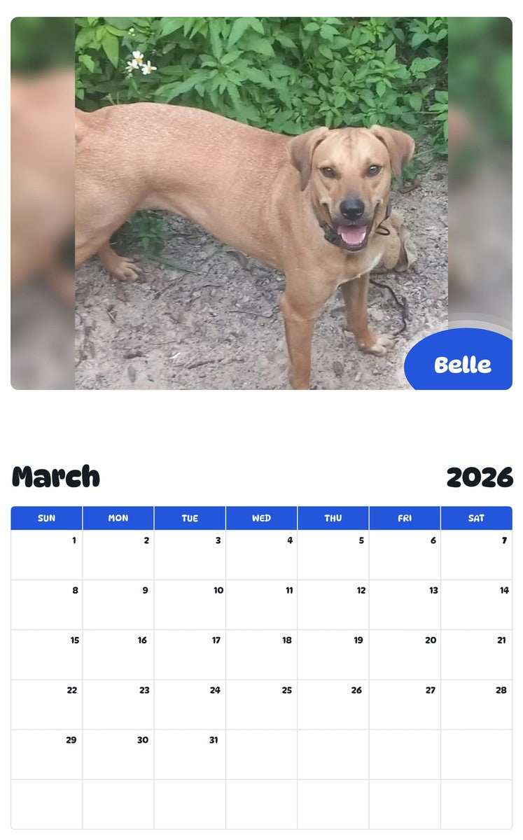 November 2025 - October 2026 Belle - Pawidols Pet Calendar