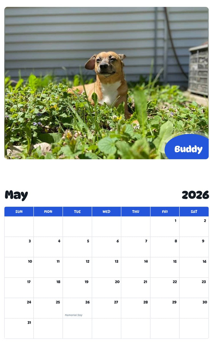 2026 - 2027 Buddy - Pawidols Pet Calendar