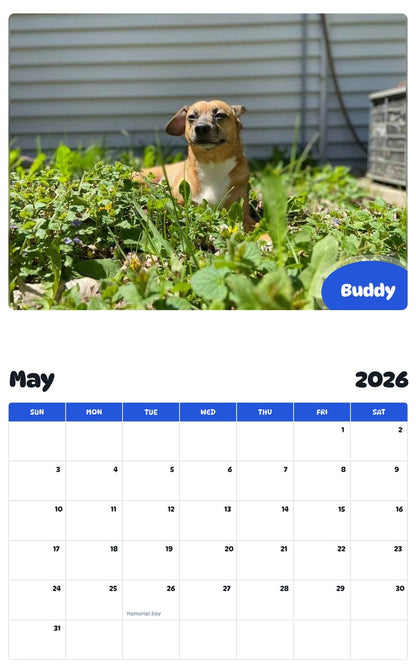 2026 - 2027 Buddy - Pawidols Pet Calendar