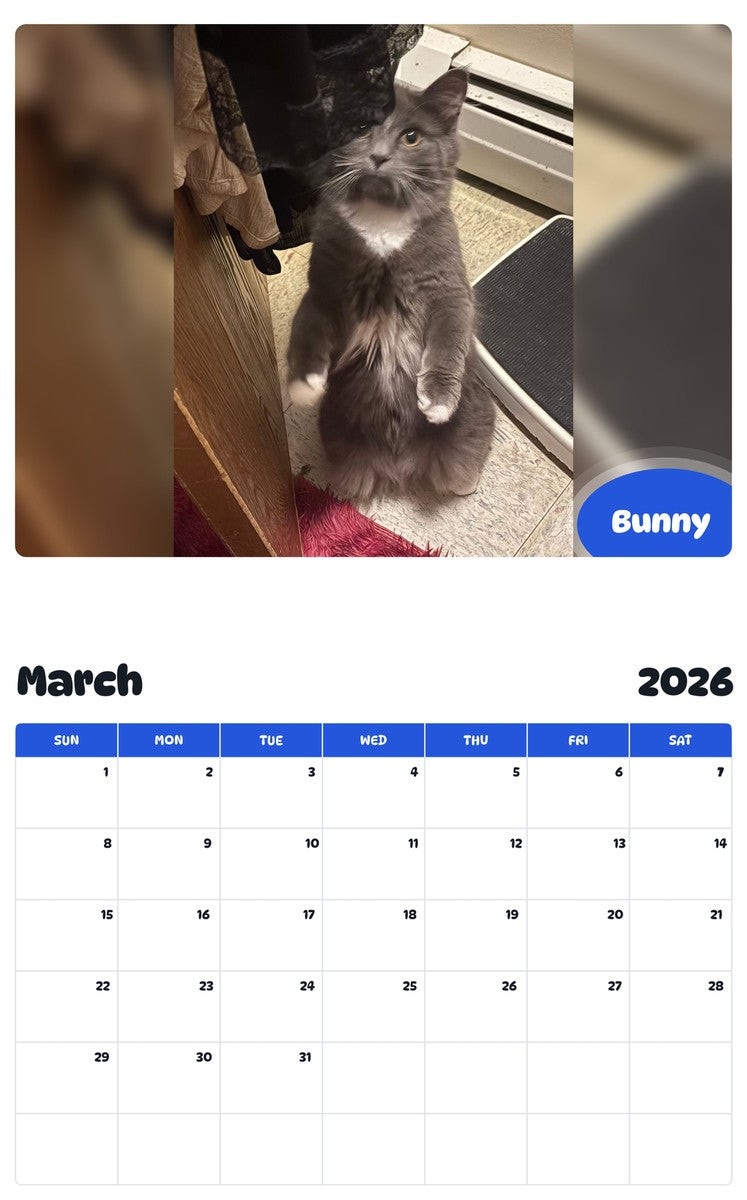 November 2025 - October 2026 Bunny - Pawidols Pet Calendar