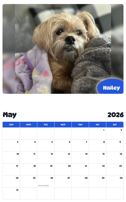 2026 - 2027 Hailey - Pawidols Pet Calendar