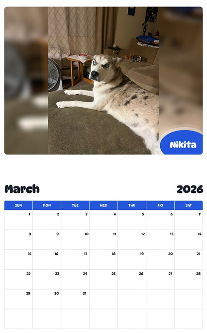 November 2025 - October 2026 Nikita - Pawidols Pet Calendar