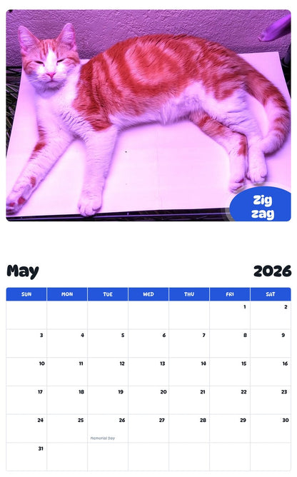 2026 - 2027 Zig zag - Pawidols Pet Calendar