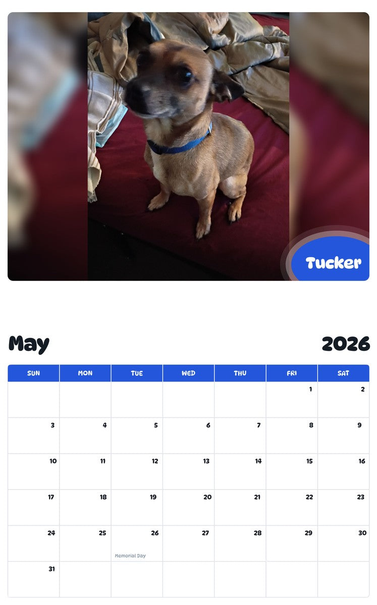 2026 - 2027 Tucker - Pawidols Pet Calendar