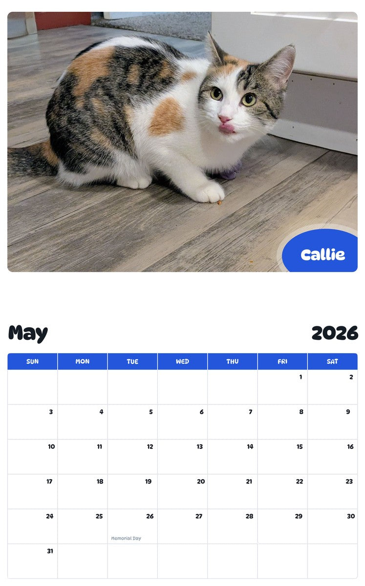 2026 - 2027 Callie - Pawidols Pet Calendar