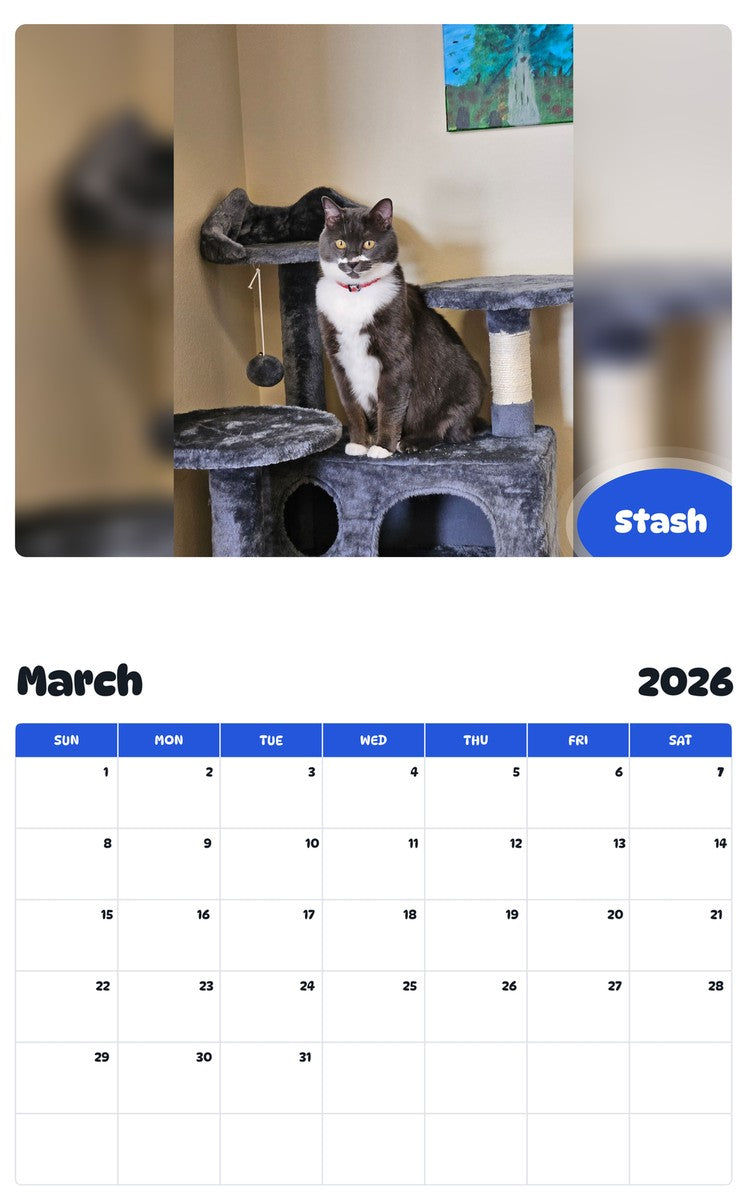 November 2025 - October 2026 Stash - Pawidols Pet Calendar