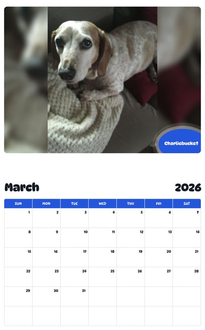 November 2025 - October 2026 Charliebucket - Pawidols Pet Calendar