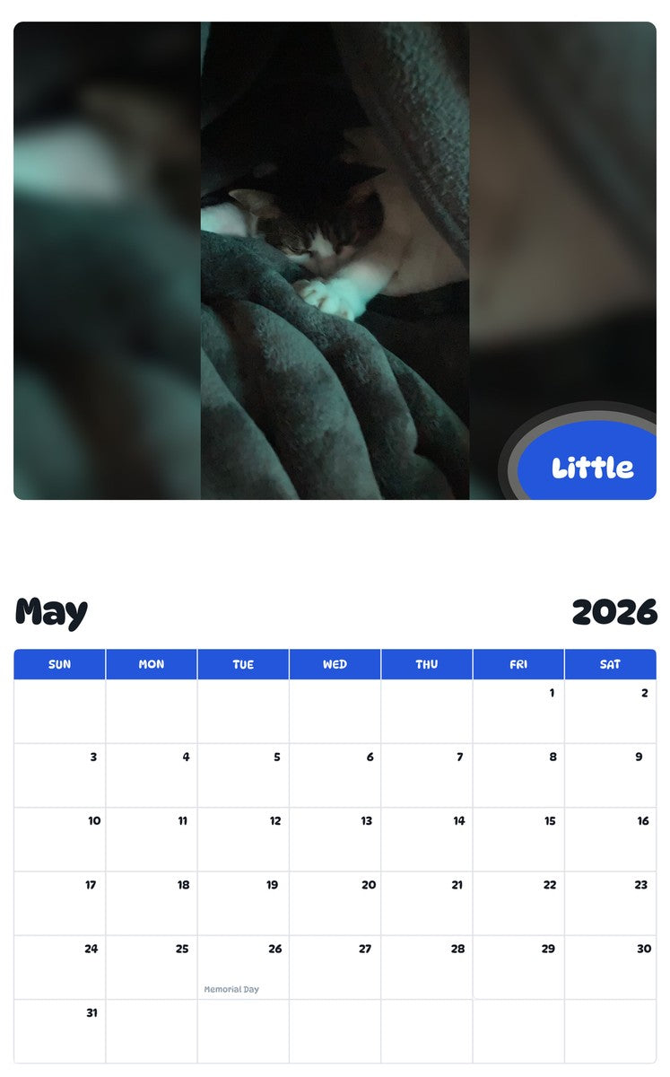 2026 - 2027 Little - Pawidols Pet Calendar