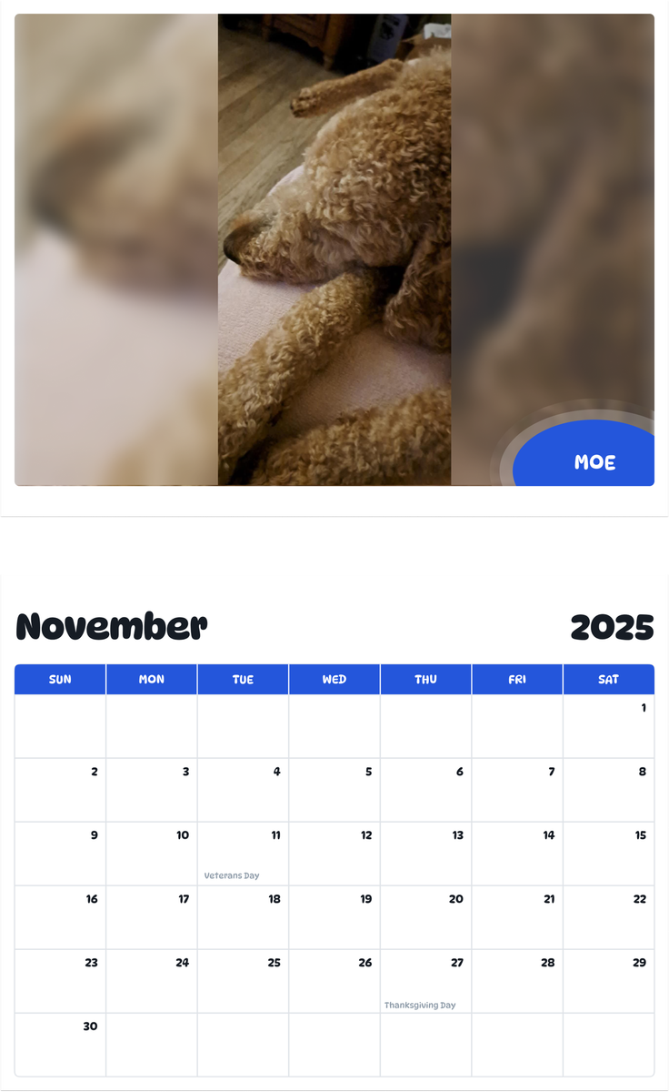 July 2025 june 2026 moe pawidols pet calendar