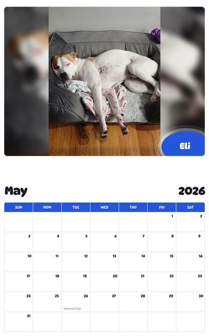 2026 - 2027 Eli - Pawidols Pet Calendar
