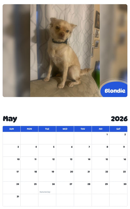 2026 - 2027 Blondie - Pawidols Pet Calendar
