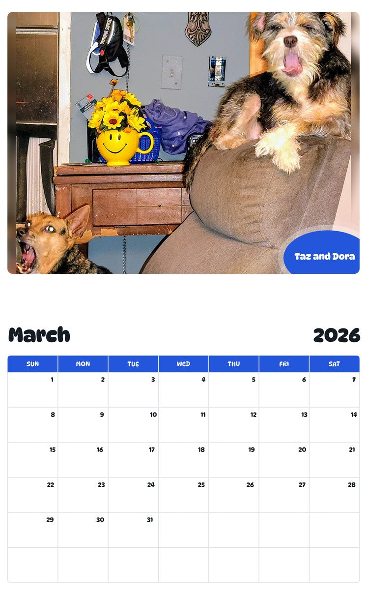 November 2025 - October 2026 Taz and Dora - Pawidols Pet Calendar