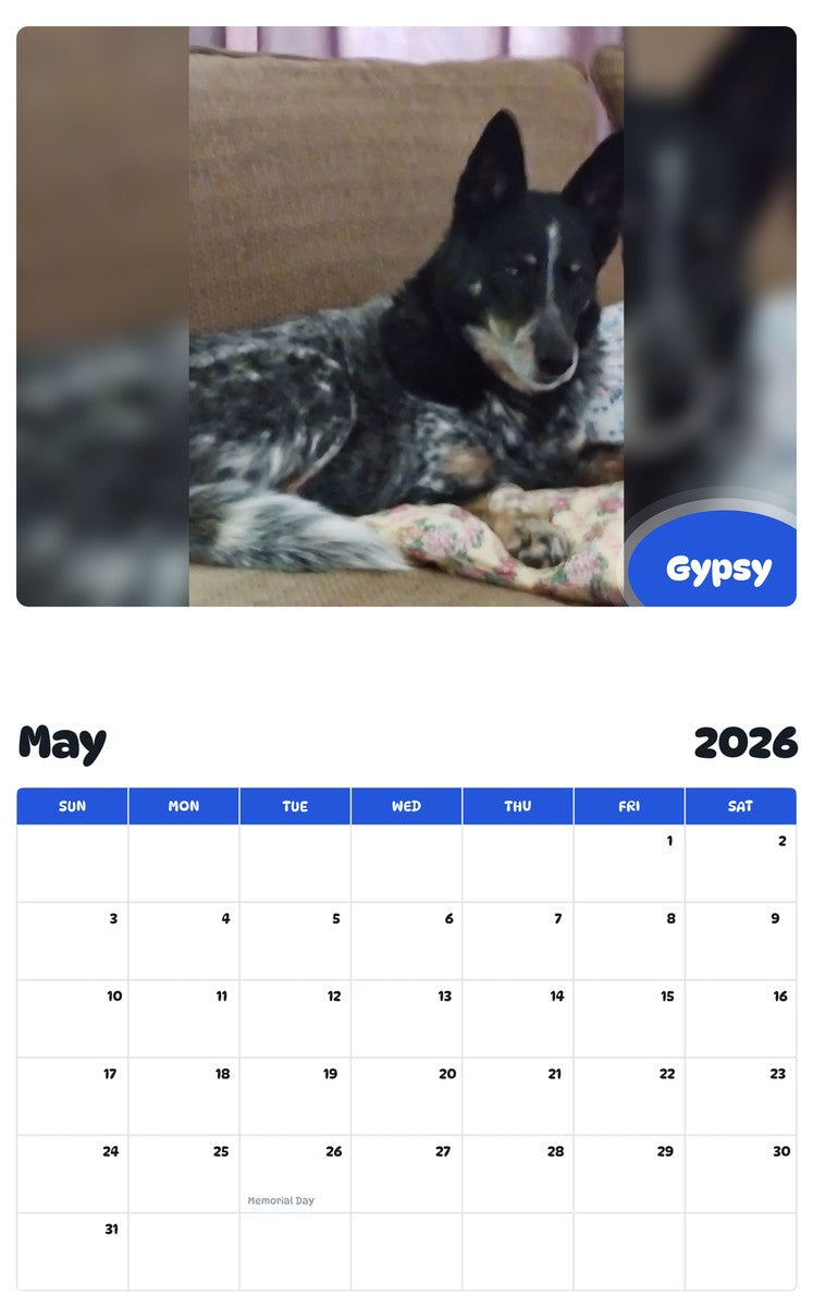 2026 - 2027 Gypsy - Pawidols Pet Calendar