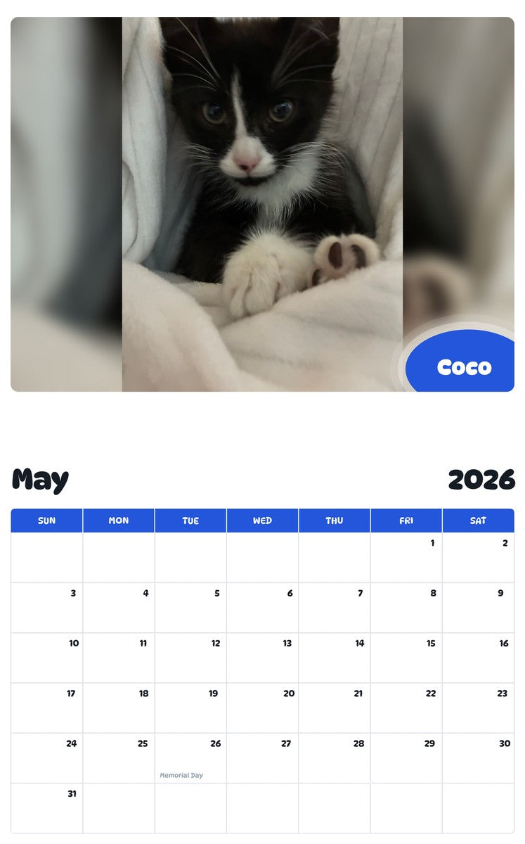 2026 - 2027 Coco - Pawidols Pet Calendar