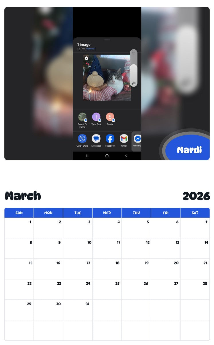 November 2025 - October 2026 Mardi - Pawidols Pet Calendar