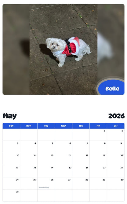 2026 - 2027 Belle - Pawidols Pet Calendar