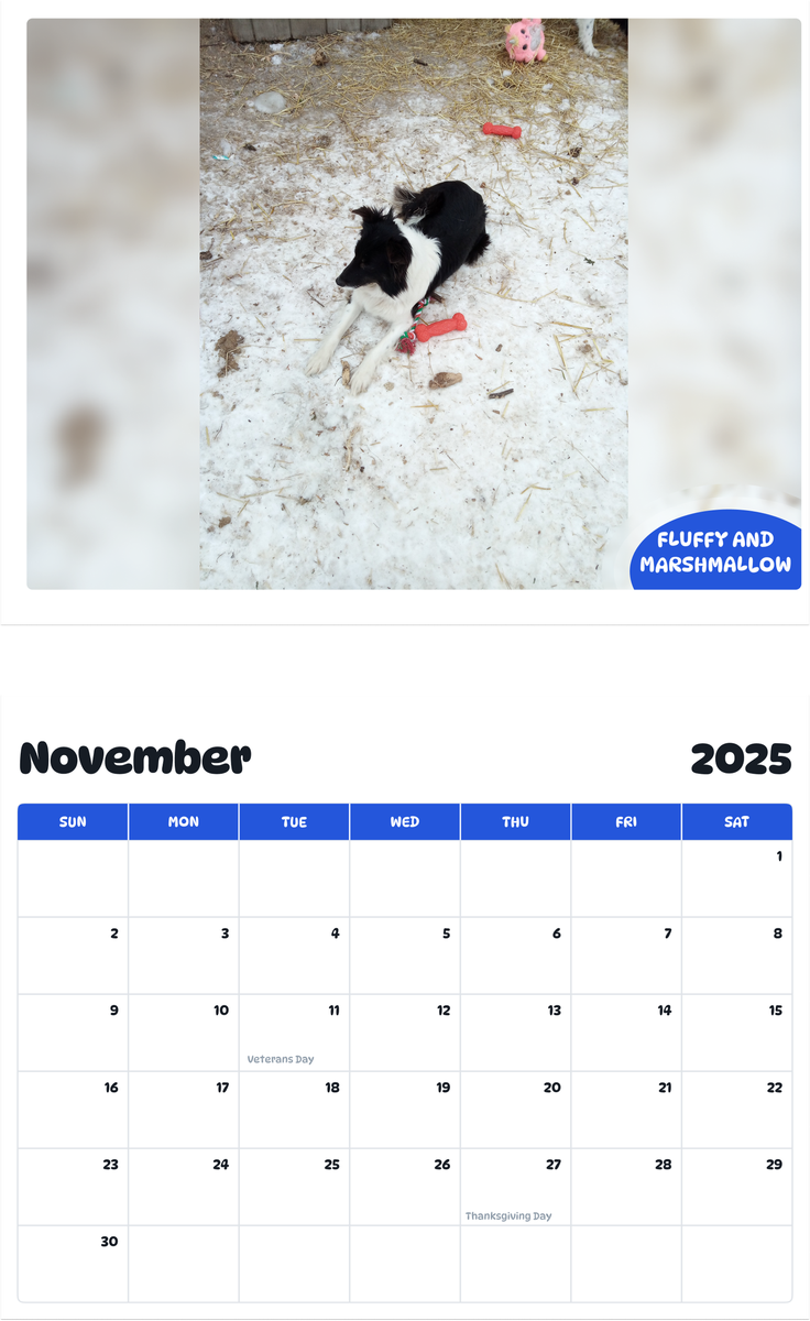 July 2025 - June 2026 Fluffy and Marshmallow - Pawidols Pet Calendar