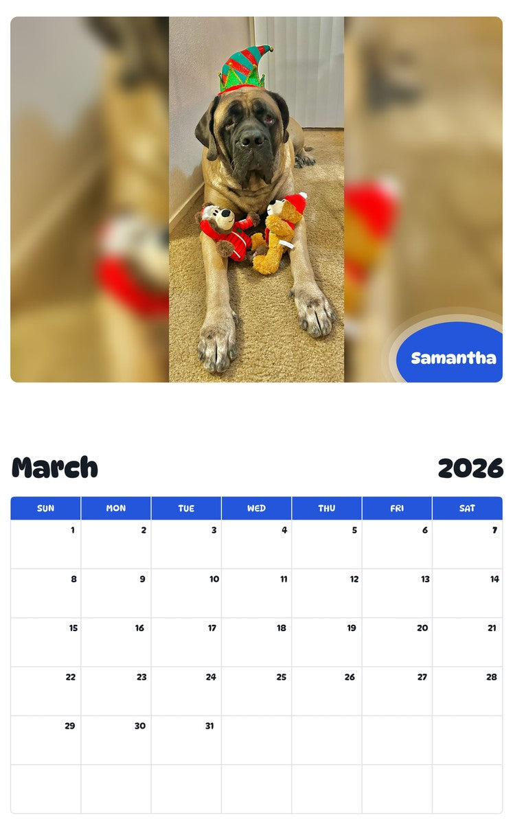 November 2025 - October 2026 Samantha - Pawidols Pet Calendar