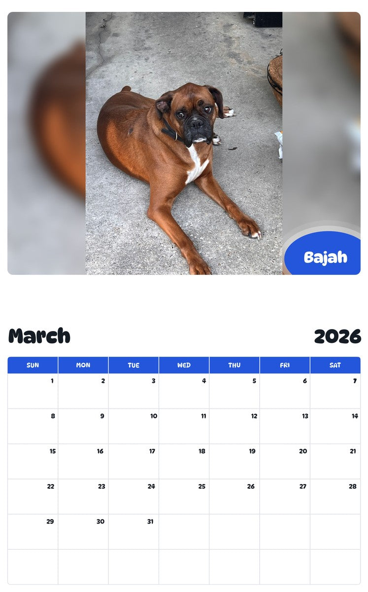 November 2025 - October 2026 Bajah - Pawidols Pet Calendar