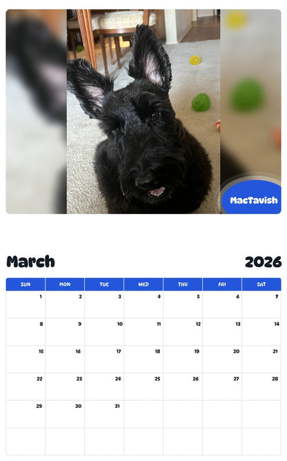November 2025 - October 2026 MacTavish - Pawidols Pet Calendar