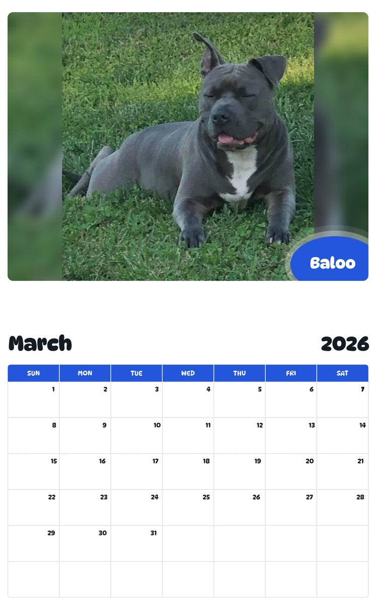 November 2025 - October 2026 Baloo - Pawidols Pet Calendar