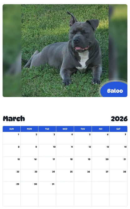 November 2025 - October 2026 Baloo - Pawidols Pet Calendar