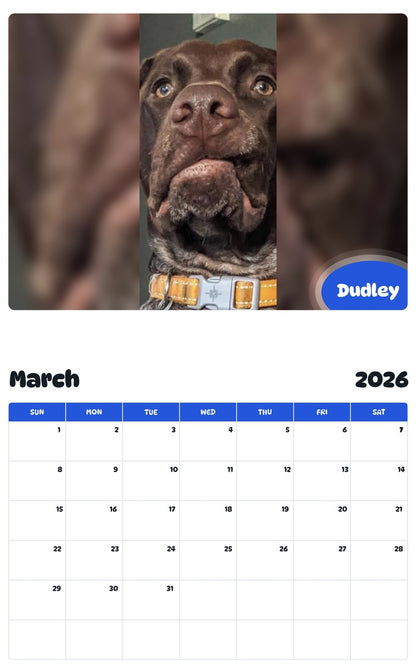 November 2025 - October 2026 Dudley - Pawidols Pet Calendar
