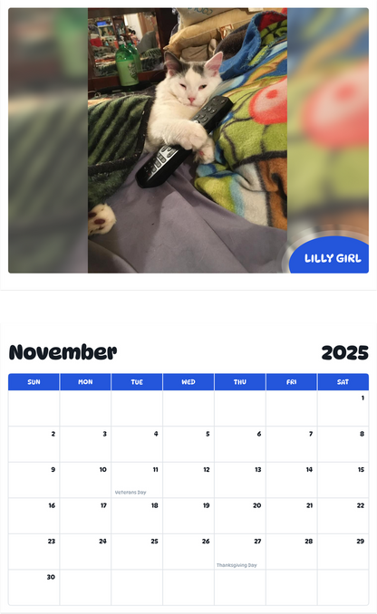 July 2025 - June 2026 Lilly Girl - Pawidols Pet Calendar