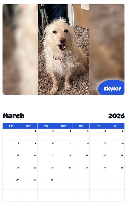 November 2025 - October 2026 Skyler - Pawidols Pet Calendar