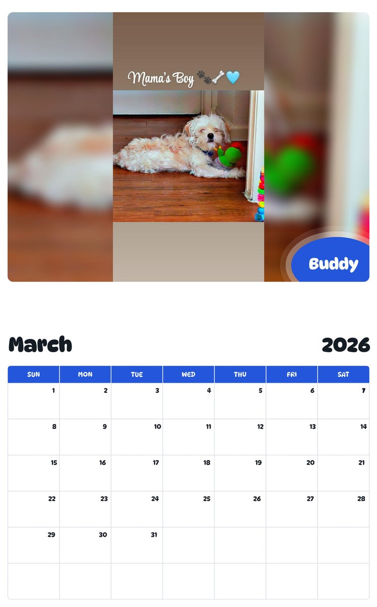 November 2025 - October 2026 Buddy - Pawidols Pet Calendar