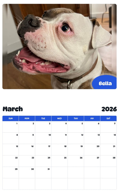 November 2025 - October 2026 Bella - Pawidols Pet Calendar