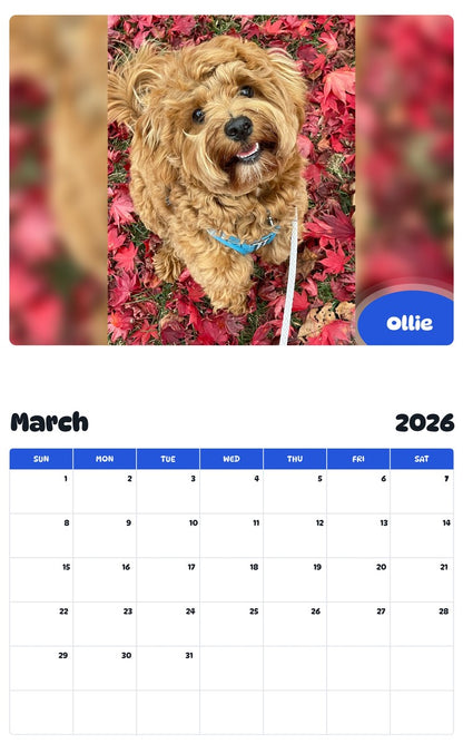 November 2025 - October 2026 Ollie - Pawidols Pet Calendar