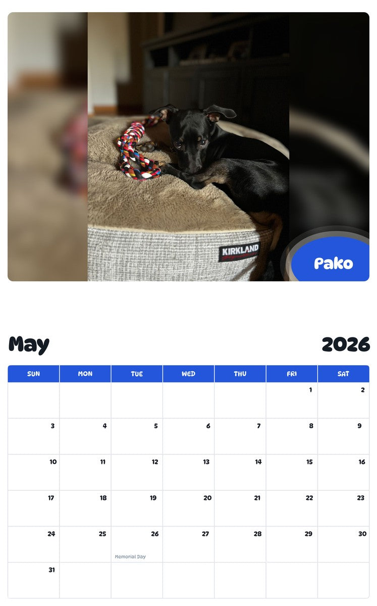 2026 - 2027 Pako - Pawidols Pet Calendar