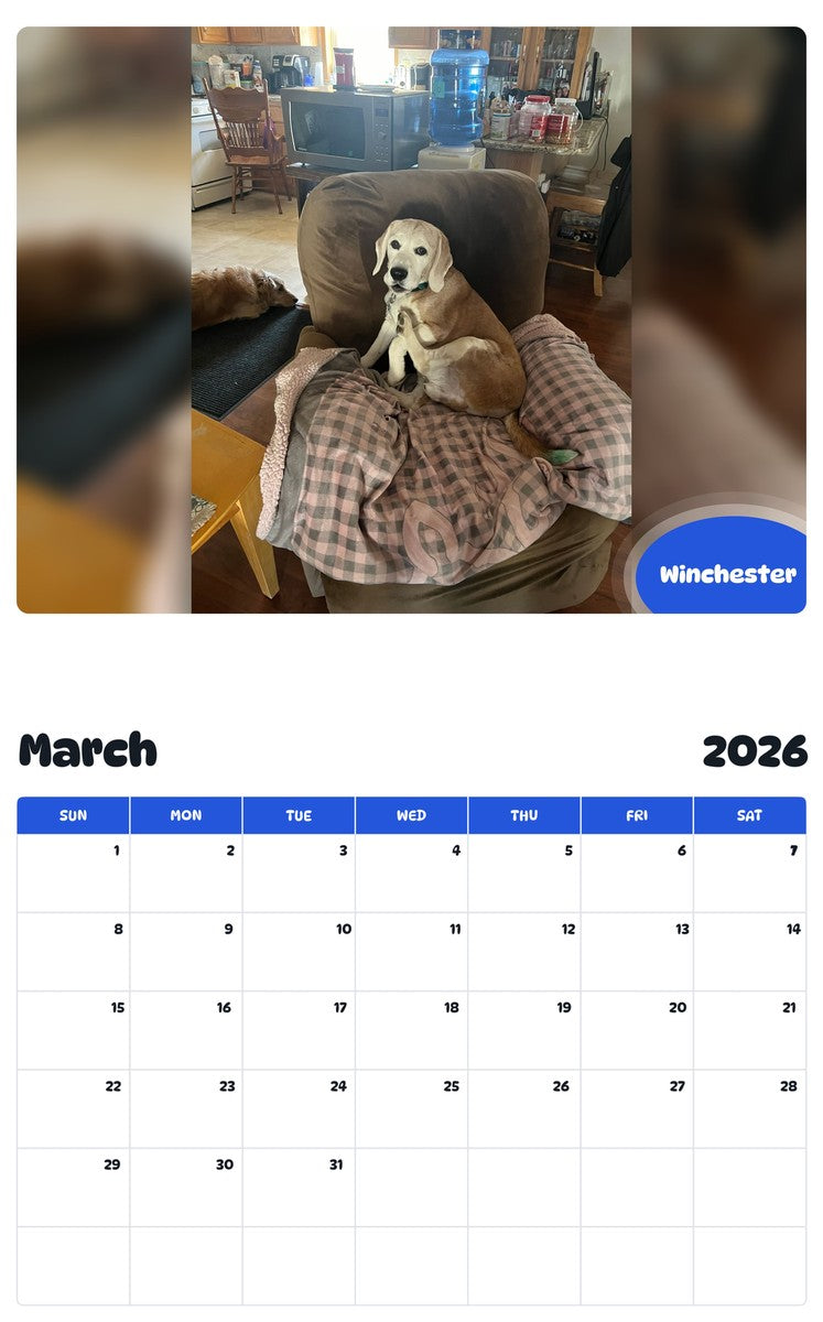 November 2025 - October 2026 Winchester - Pawidols Pet Calendar