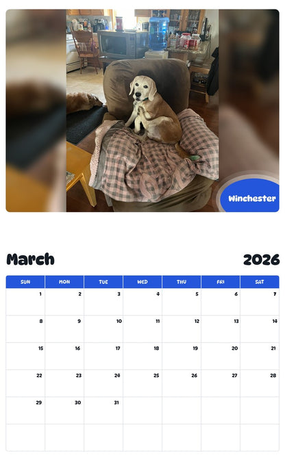 November 2025 - October 2026 Winchester - Pawidols Pet Calendar