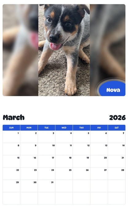 November 2025 - October 2026 Nova - Pawidols Pet Calendar