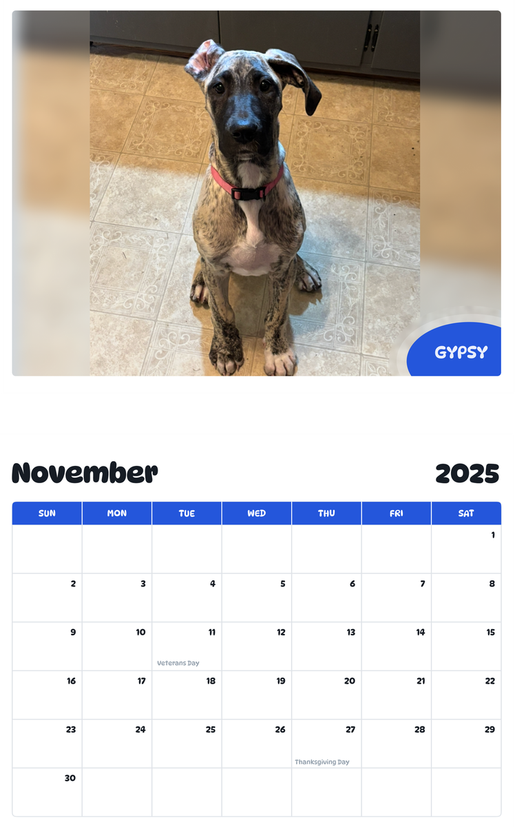 July 2025 - June 2026 Gypsy - Pawidols Pet Calendar