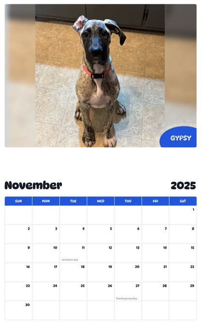 July 2025 - June 2026 Gypsy - Pawidols Pet Calendar
