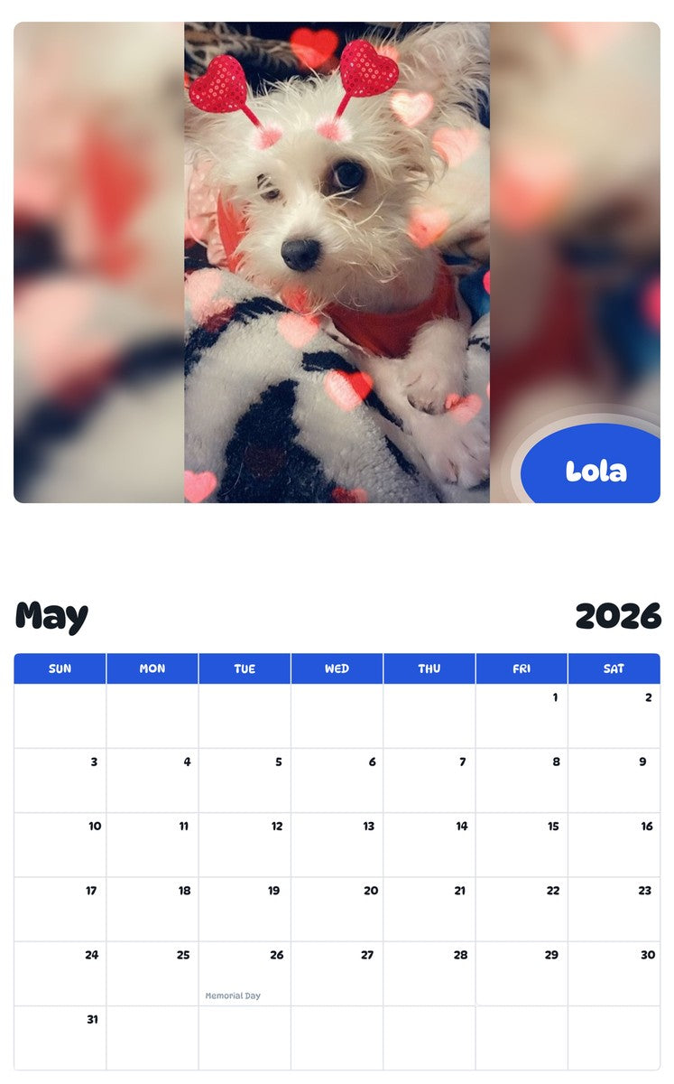 2026 - 2027 Lola - Pawidols Pet Calendar