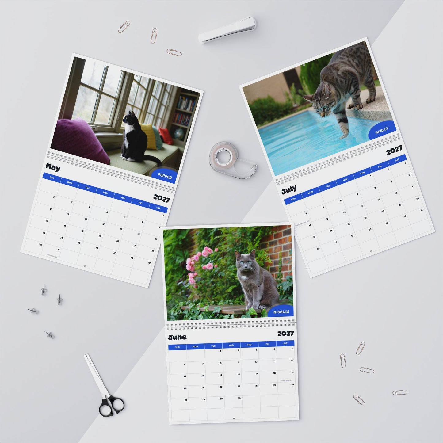 Paw Calendar Cat August 2026 - July 2027