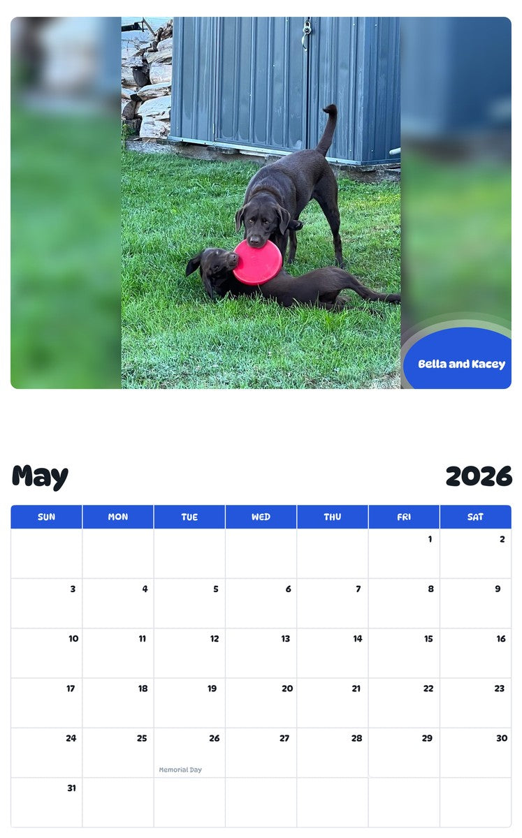 2026 - 2027 Bella and Kacey - Pawidols Pet Calendar