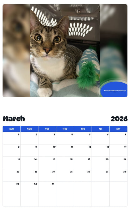 November 2025 - October 2026 Timmie Anderdingus Cornelius Doo - Pawidols Pet Calendar