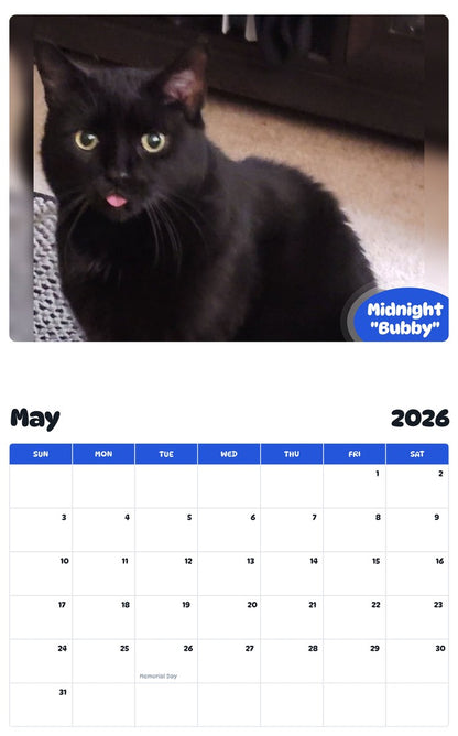 2026 - 2027 Midnight "Bubby" - Pawidols Pet Calendar