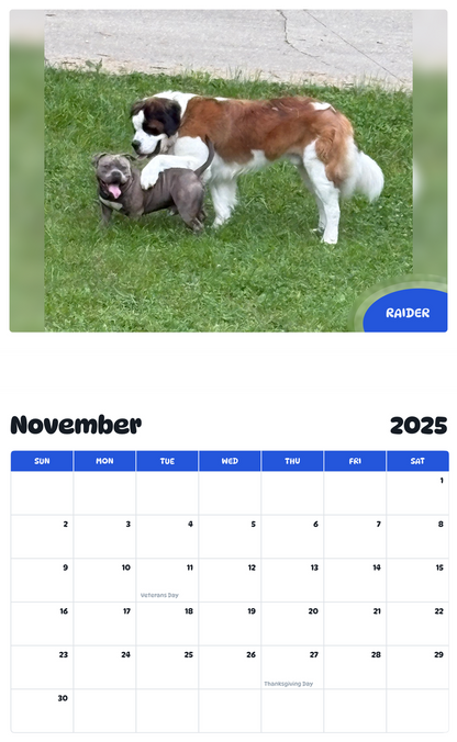 July 2025 - June 2026 Raider - Pawidols Pet Calendar